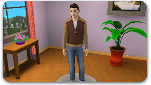 Die Sims 3 für Nintendo 3DS